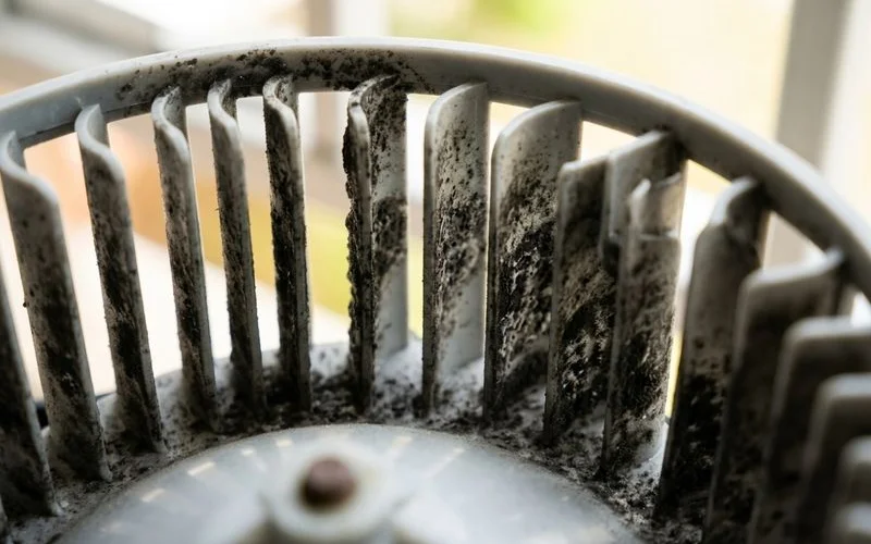 Smelly Aircon? We Eliminate the Odour at the Source